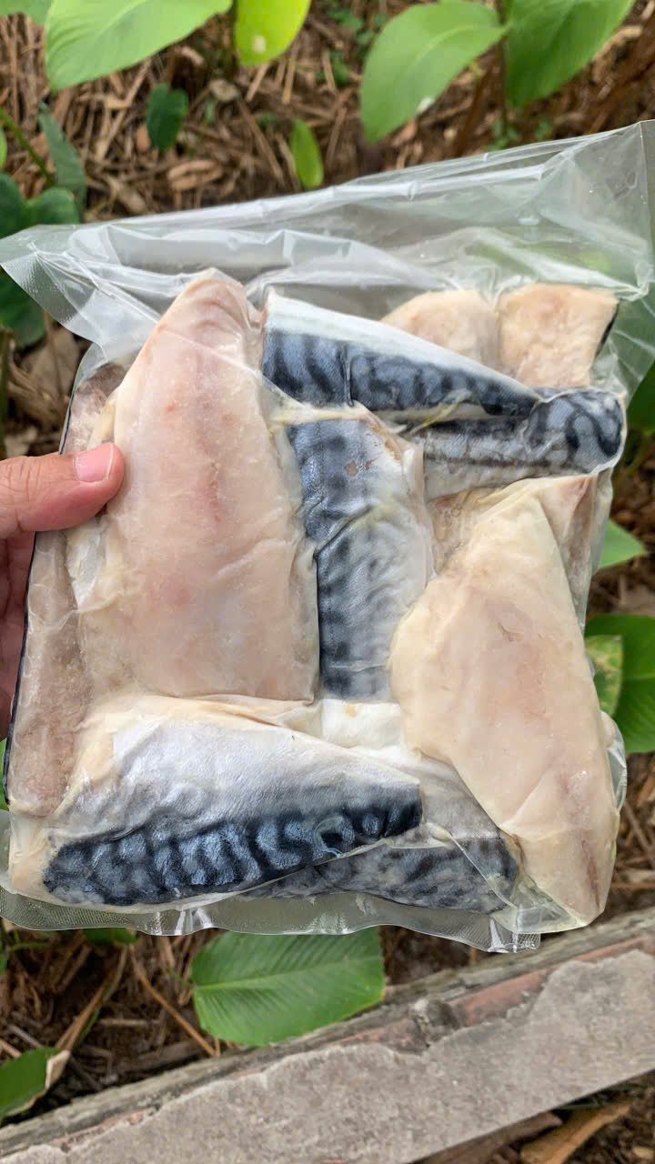 Vụn cá Thu Nhật ( Saba Nauy)