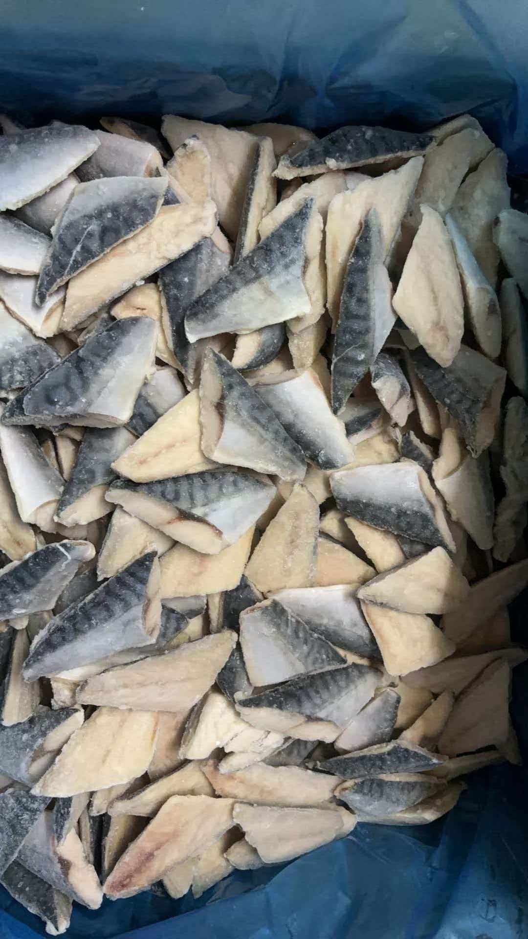 Vụn cá Thu Nhật ( Saba Nauy)