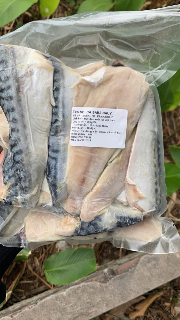 Vụn cá Thu Nhật ( Saba Nauy)
