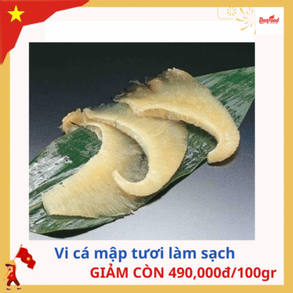 Vi cá mập tươi
