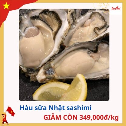 Hàu Ngon Hyogo Nhật Bản