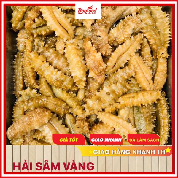 Hải sâm gai vàng